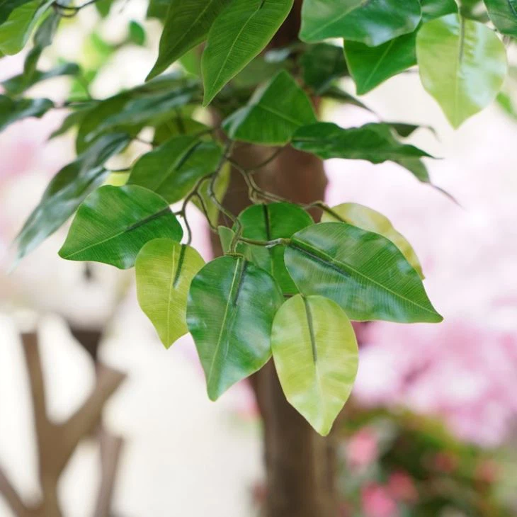 8 Ft Real Touch Bonsai Ficus Tree With Natural Trunk