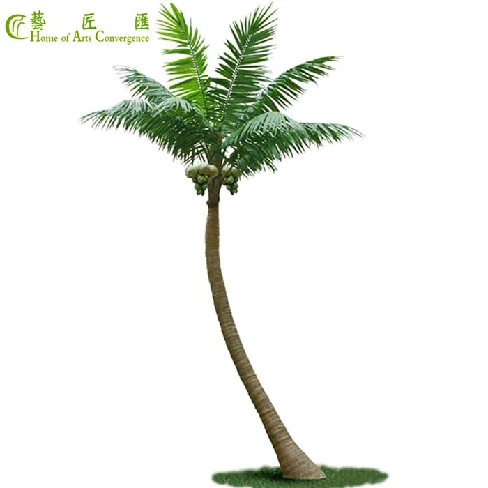 Outdoor Palm Trees