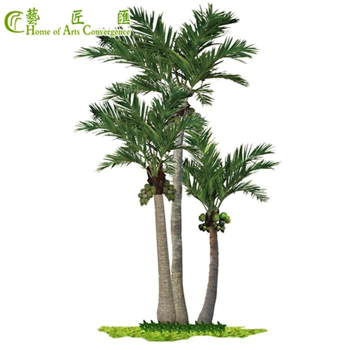 Outdoor Palm Trees