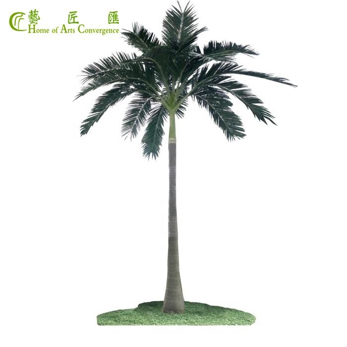 Outdoor Palm Trees